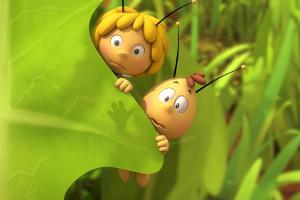 Ende 2017 dürfen sich die Biene Maja und ihr Freund Willi wieder hervorwagen - für 52 neue Folgen