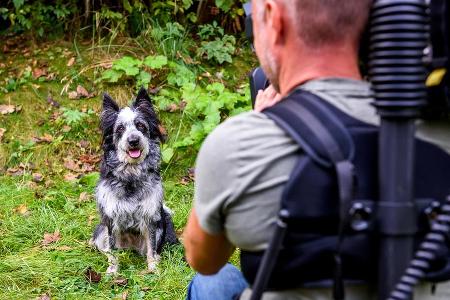 Kaszah beherrscht das Spiel mit der Kamera