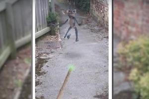 Könnte so ein "Harry Potter Go" aussehen?