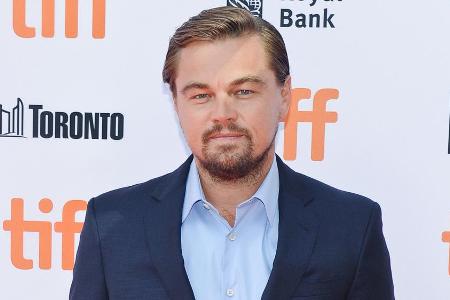 Ein hilfsbereiter Hollywood-Star: Leonardo DiCaprio