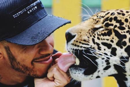 Eines der umstrittenen Bilder von Lewis Hamilton