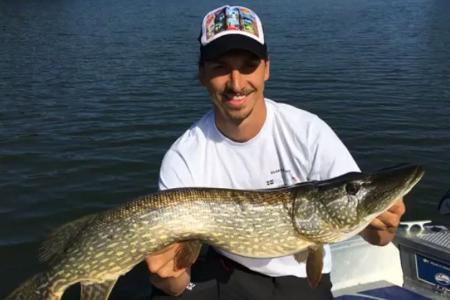 Diesen Pracht-Hecht zog Zlatan Ibrahimovic aus dem Wasser
