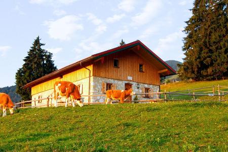 Der erste Schnee kommt bestimmt: Niederalm Naderbauer