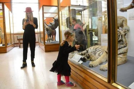 ...als die Kleine dann einen weißen Tiger entdeckte, schien die Langweile schnell verflogen. Ihre jüngere Schwester...
