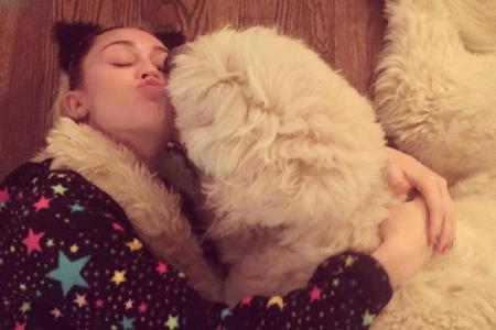 Miley mit Liams Hund 