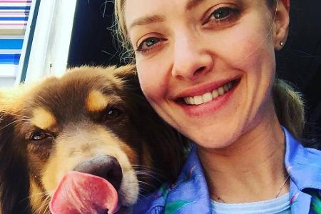 Auch Schauspielerin Amanda Seyfried hatte ihren Hund dabei. 
