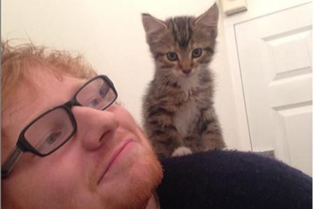 Ed Sheerans (25) Katzenliebe geht soweit, dass sein süßes Kätzchen sogar auf seiner Schulter sitzen darf. Bequem sieht jedoc...