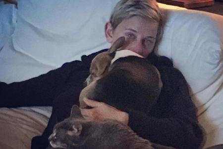 Während Ellen DeGeneres (58) die Zuschauer ihrer Show zum Lachen bringt, wird die Komikerin selbst durch ihre Haustiere bei ...