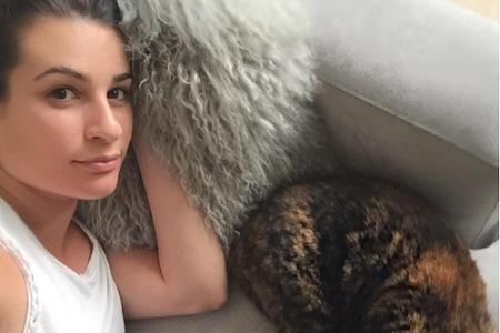 Auf dem Sofa mit der Katze knuddeln - es gibt nichts Schöneres. Das denkt sich offenbar auch Lea Michele (29). Auf Instagram...