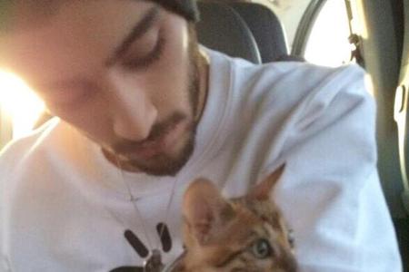 Ex-Boyband-Schwarm Zayn Malik (23) braucht bei dem ganzen Star-Rummel auch mal seine Ruhe und eine Streicheleinheit. Die hol...