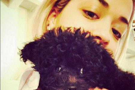 Stolz präsentiert Rita Ora ihr neues Familienmitglied