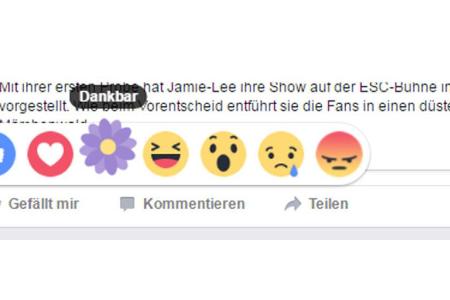 Blume klicken, heißt ab heute 