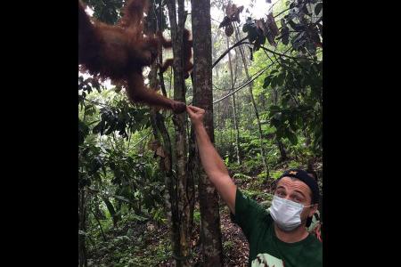 Hollywood-Star Leonardo DiCaprio besuchte auf Sumatra eine Orang-Utan-Auffangstation