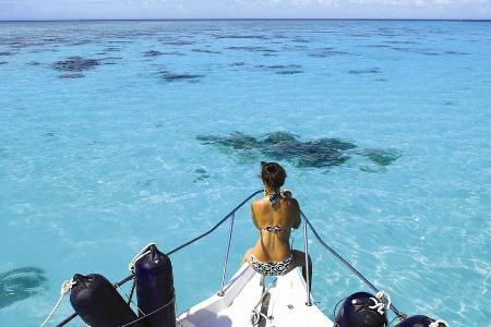 Begegnung mit Rochen und Delfinen im Roten Meer vor El Gouna