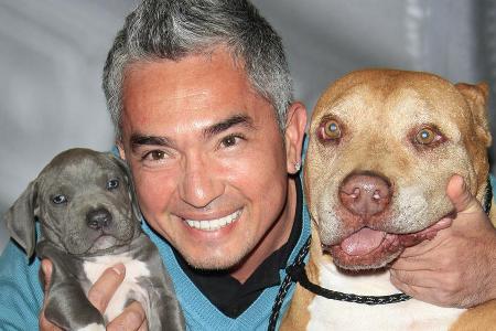 Cesar Millan und zwei seiner Hunde-Freunde