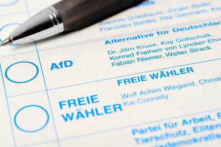 Die AfD triumphiert - das Netz kritisiert und verspottet die rechtspopulistische Partei