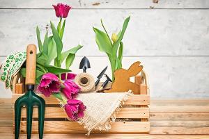 Für Gartenarbeit benötigt man nicht zwingend einen eigenen Garten: Urban Gardening ist das Stichwort