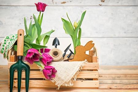 Für Gartenarbeit benötigt man nicht zwingend einen eigenen Garten: Urban Gardening ist das Stichwort