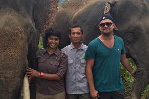 Leonardo DiCaprio und die Mitarbeiter von "Forest Nature and Environment Aceh" kämpfen für den Lebensraum dieser Elefanten