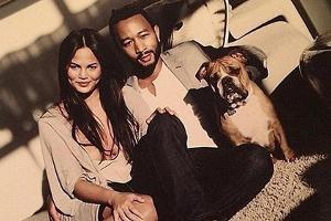 Happy Family: Chrissy Teigen mit Ehemann John Legend und ihrem ersten gemeinsamen Hund