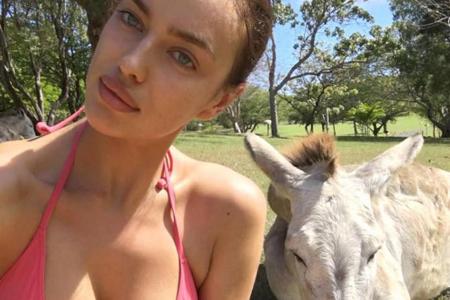 Model trifft Esel: Model Irina Shayk postet witziges Bikini-Selfie auf Instagram