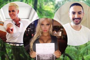 Dschungelcamp Collage.jpg