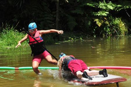 Wollersheim und Fürst versagten in der Dschungelprüfung: Keine Sterne für das Camp
