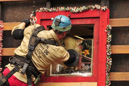 Neben den Sternen befinden sich auch kleine Krokodile, Mehlwürmer, Fliegen, Kröten, Dschungel-Pythons, Kakerlaken, Grillen, ...