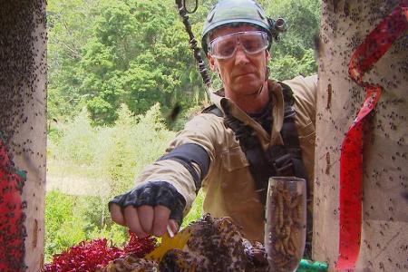 Doch das ist alles gar kein Problem für Super-Jürgen! Lässig greift er nach dem goldenen Sternen. Von Ekel keine Spur!