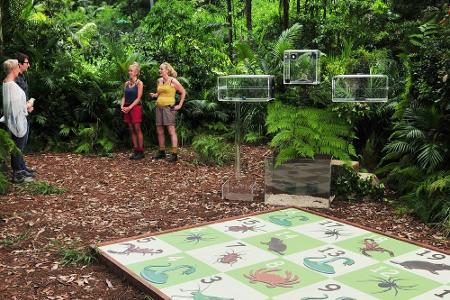 Die Moderatoren Sonja Zietlow und Daniel Hartwich (l.) erklären Jenny Elvers und Helena Fürst (r.), die zum vierten Mal antr...