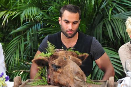 David Ortega soll ein halbes Kamelhirn essen, kann sich allerdings nicht dazu überwinden. Team 