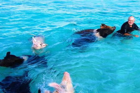 Der mit den Schweinen schwimmt: Ray Lightbourn