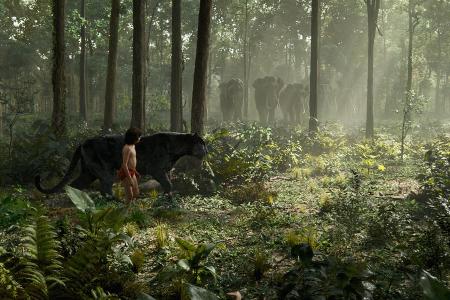 Mogli und Baghira treffen auf die Elefanten