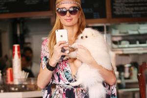 Paris Hilton begeistert in einem blumigen Maxikleid von Designer Michael Costello fast vollständig - Ausnahme: Hund statt Ha...