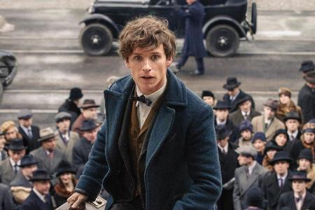 Newt Scamander hegt eine Faszination für magische Wesen.