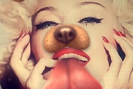Madonna kann die Schnauze ebenfalls tragen