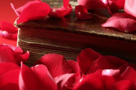 Liebesbücher lesen sich nicht nur am Valentinstag gut