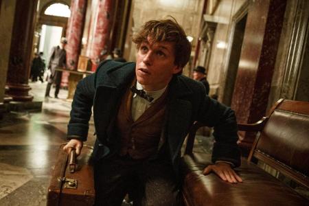 Oscarpreisträger Eddie Redmayne spielt Newt Scamander, den Autor des Zauber-Lehrbuches, mit dem die Schüler in 