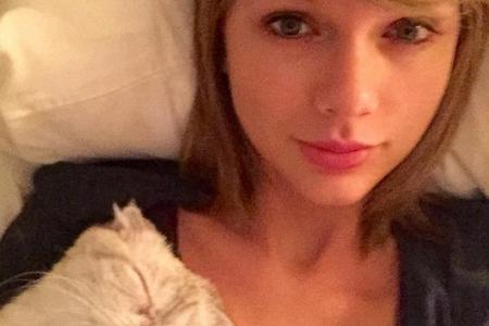 Taylor Swift (26) lümmelt sich lieber in tierischer Gesellschaft ins Bett. Die Glückliche: Swifts Katze, Olivia Benson.