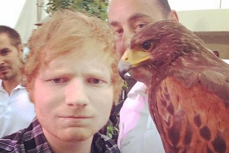 Ein Selfie mit einem Falken - wer hat es nicht?