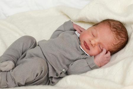 Der kleine Prinz Nicolas