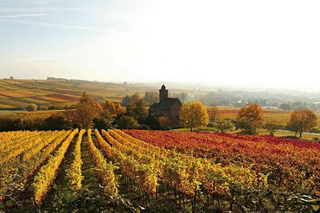 Herbststimmung an der Südlichen Weinstraße