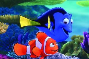 Ein altbekanntes Erfolgs-Duo: Dory und Nemo