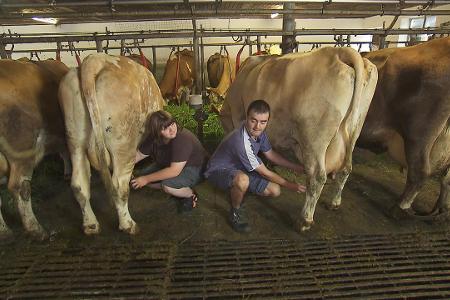 01 Bauer sucht Frau 16.11..jpg