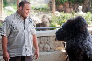 "Der Zoowärter": Zwischen Tierpfleger Griffin (Kevin James) und Gorilla Bernie entwickelt sich eine echte Männerfreundschaft