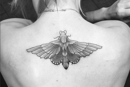 Diese Motte ziert künftig ihren Rücken