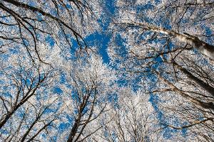 Sieht schön aus, kann aber auch gefährlich sein: die Kälte im Winter