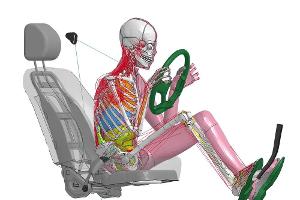 Neuer Crawltest-Dummy: Simulierte Körperhaltung bei Kollisionen