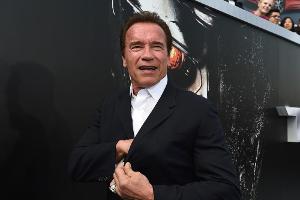 Arnold Schwarzenegger hat eine neue Aufgabe im US-Fernsehen
