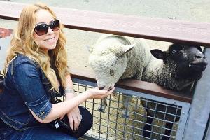 Mariah Carey beim Füttern von Schafen